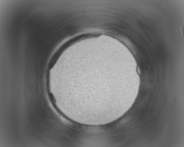 X0000081321007200702082131