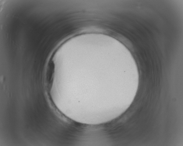 X0000081321008200702082131