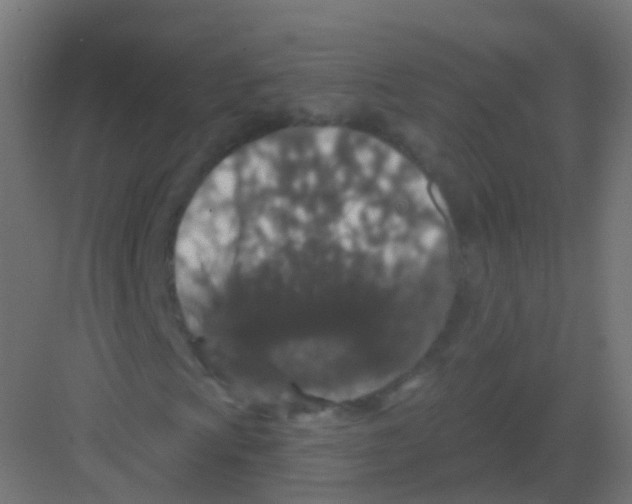 X0000081321009200702082130