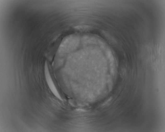 X0000081321010200702082130