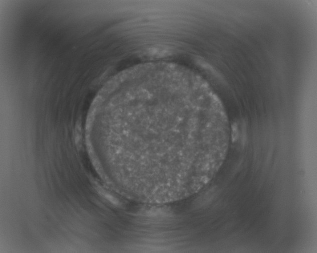 X0000081321011200702082130