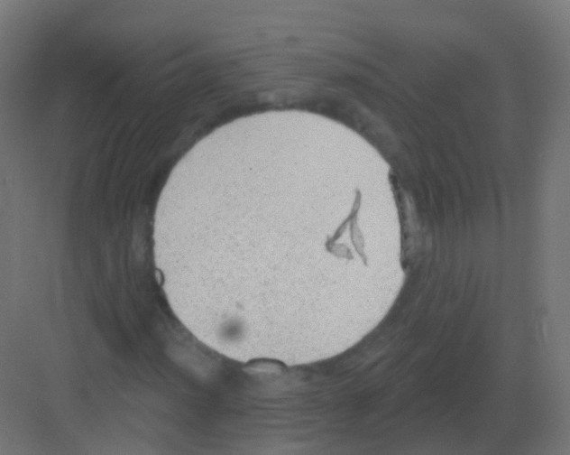 X0000081321012200702082130