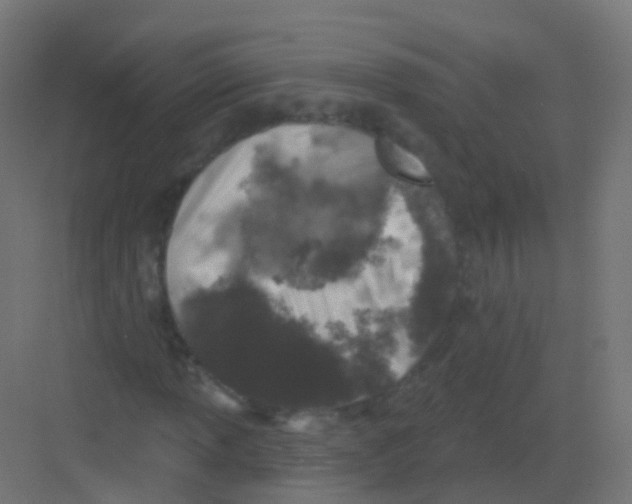 X0000081321013200702082130