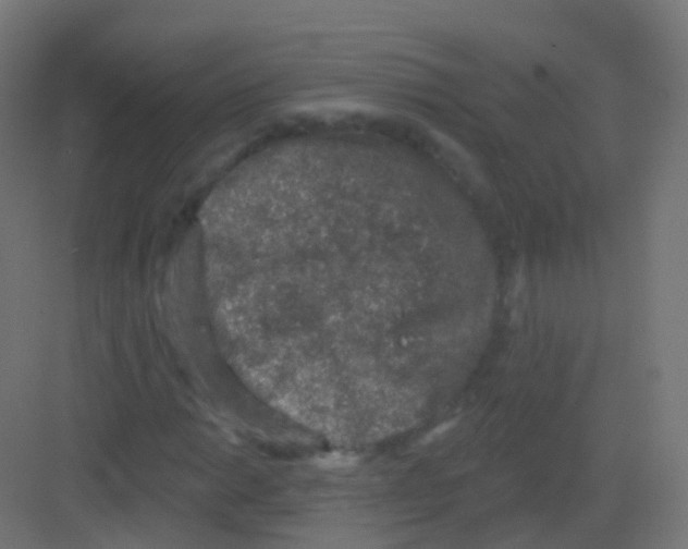 X0000081321014200702082130