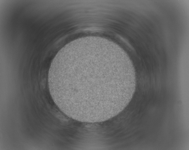 X0000081321015200702082130