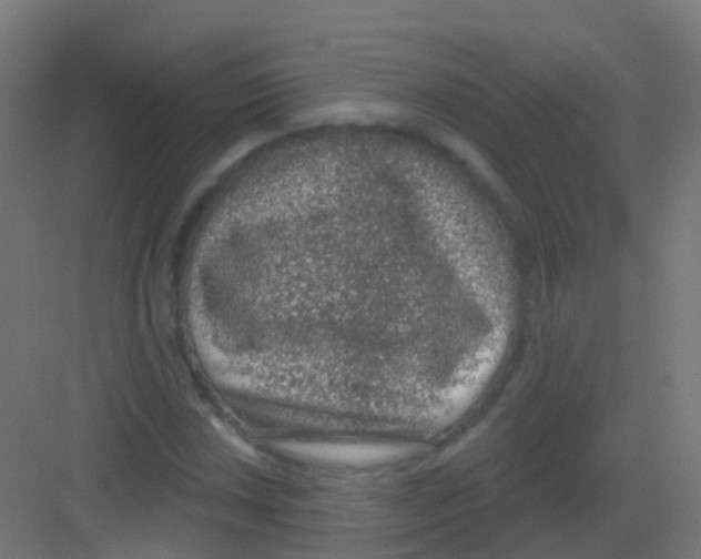 X0000081321018200702082130