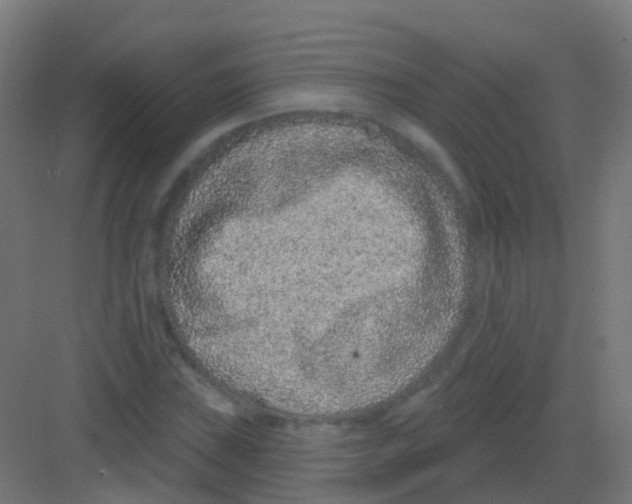 X0000081321019200702082130