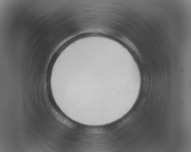 X0000081321020200702082130