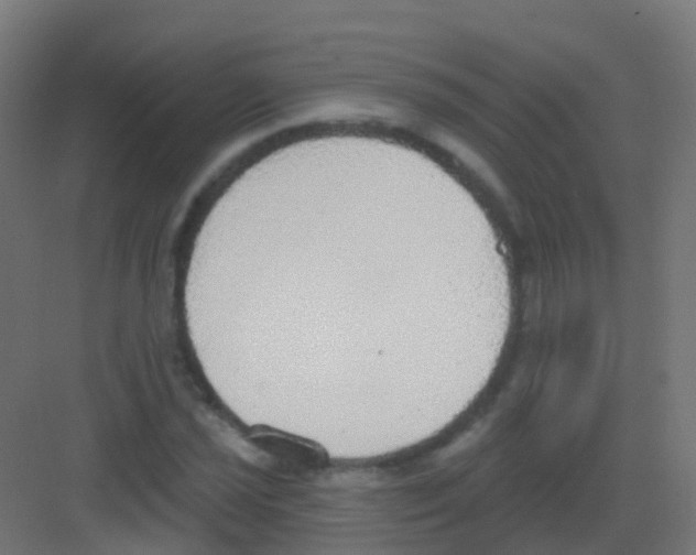 X0000081321021200702082130