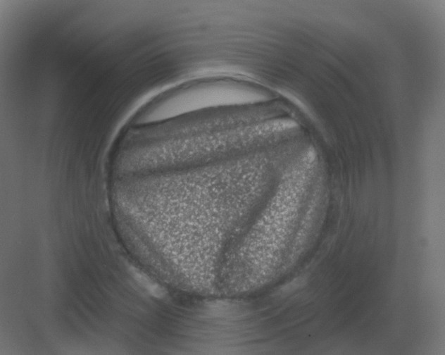 X0000081321022200702082130