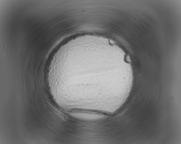 X0000081321023200702082130