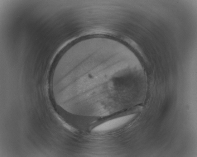 X0000081321024200702082131