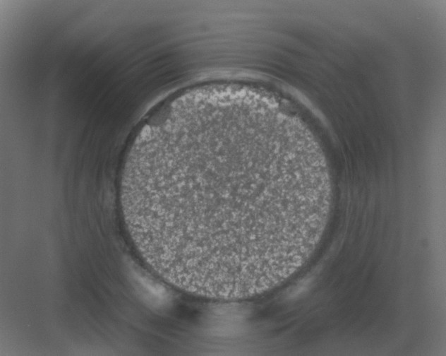 X0000081321025200702082131