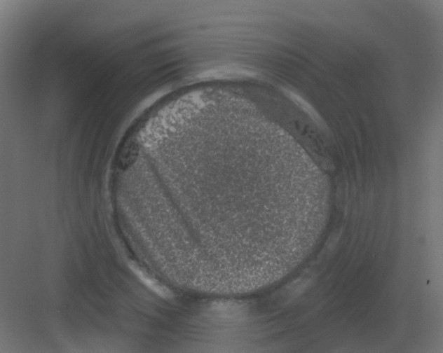 X0000081321026200702082131