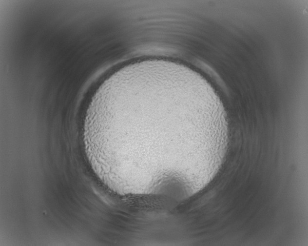 X0000081321027200702082131