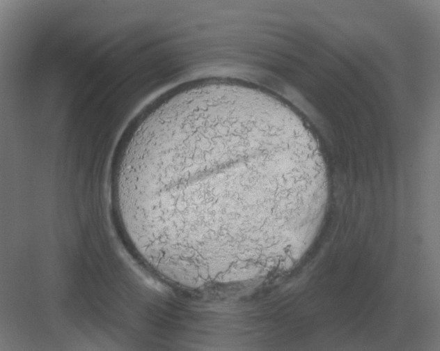 X0000081321028200702082131