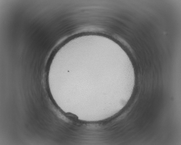 X0000081321029200702082131