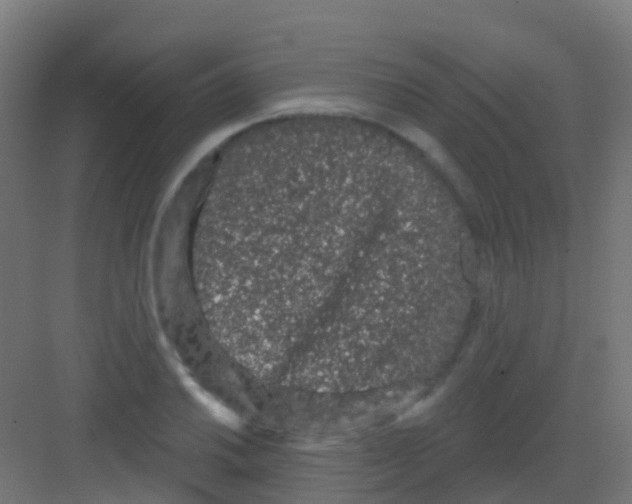 X0000081321030200702082131