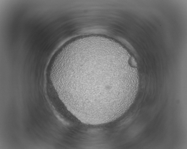 X0000081321031200702082131