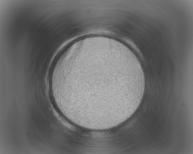 X0000081321032200702082131