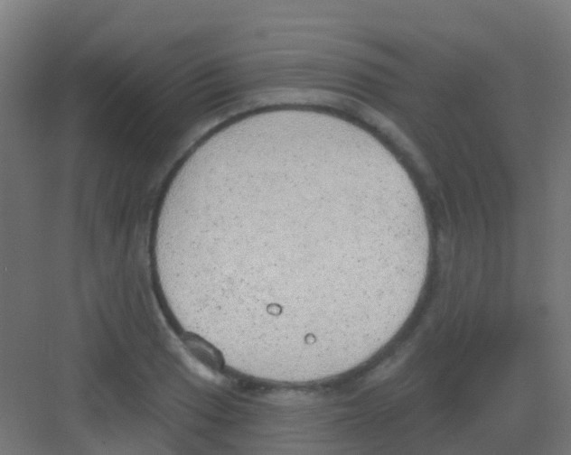 X0000081321033200702082131