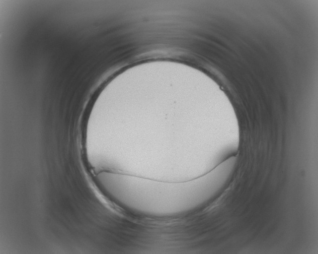 X0000081321034200702082131