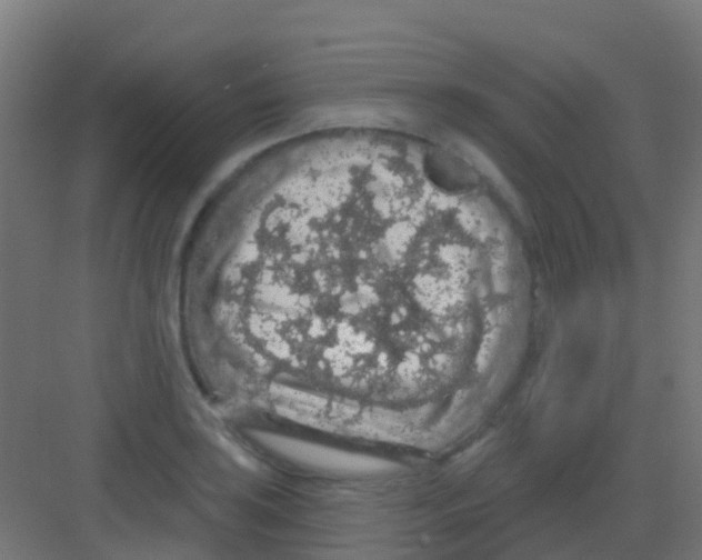 X0000081321035200702082131