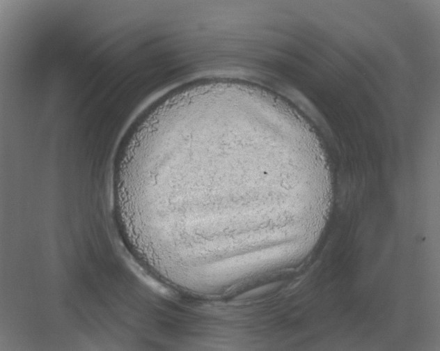 X0000081321036200702082131