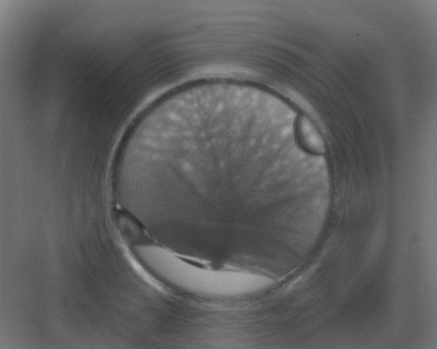 X0000081321037200702082131