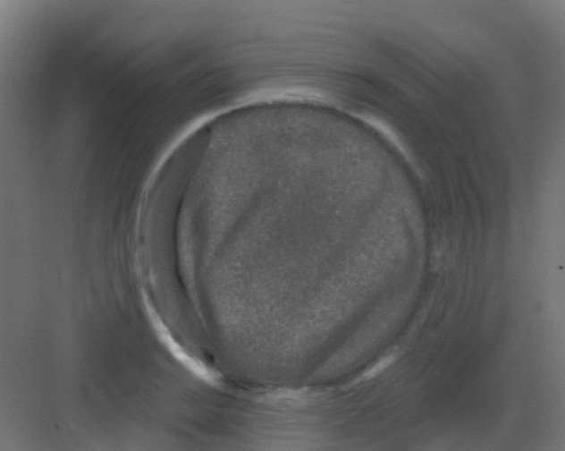 X0000081321038200702082131