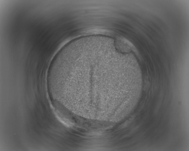 X0000081321039200702082131