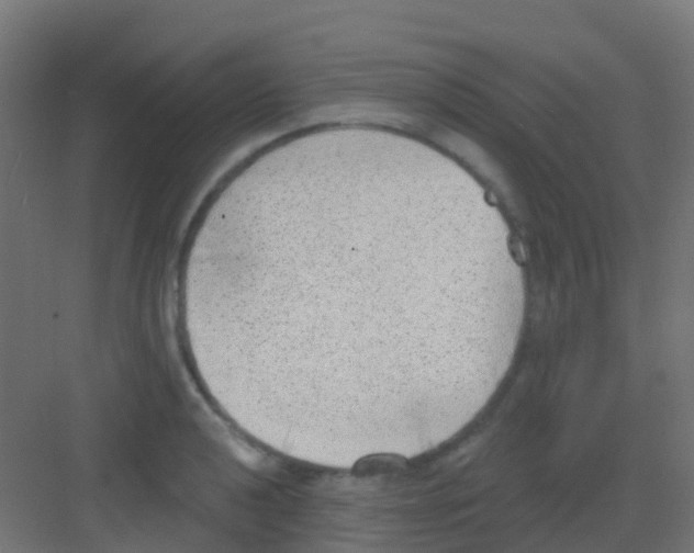 X0000081321040200702082131