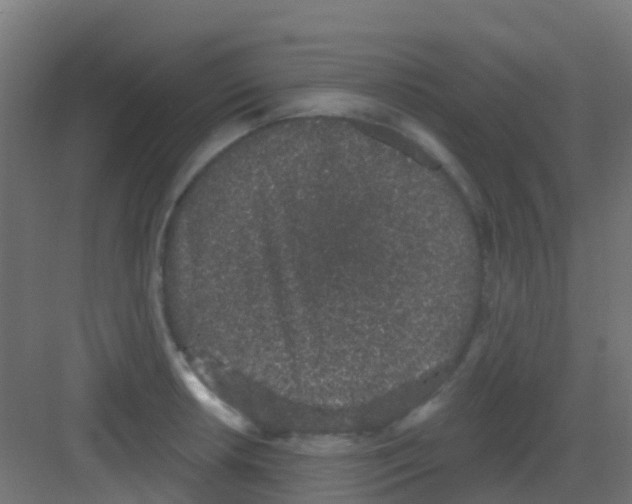 X0000081321042200702082131