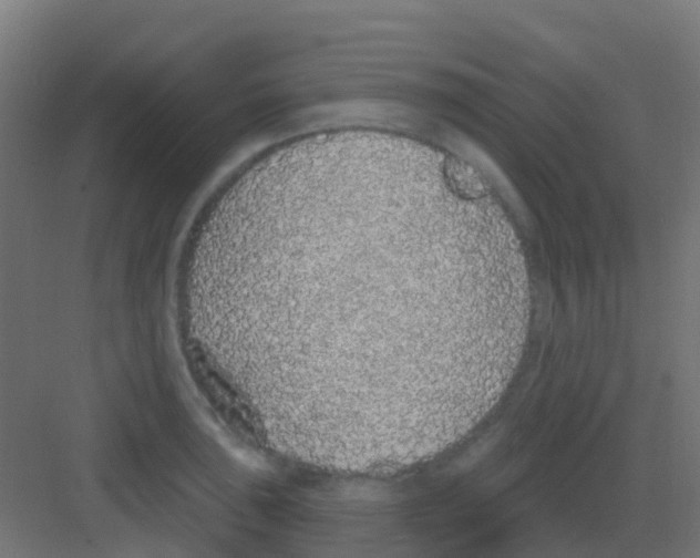 X0000081321043200702082131