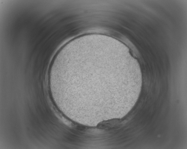 X0000081321044200702082131