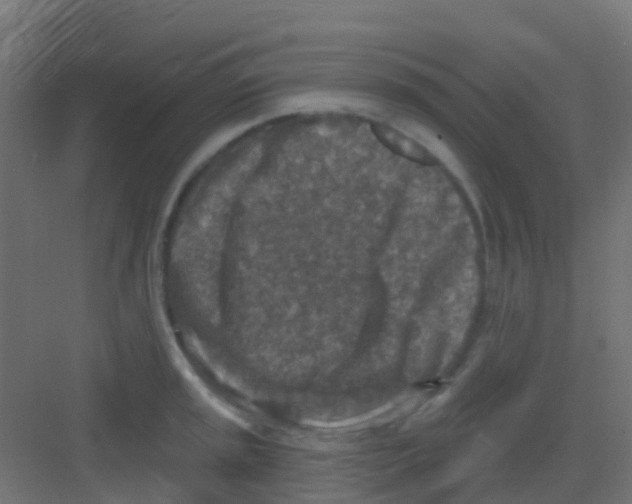 X0000081321045200702082131