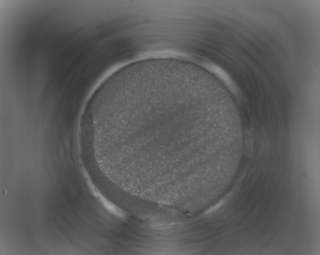 X0000081321046200702082131