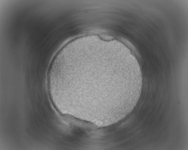 X0000081321047200702082131