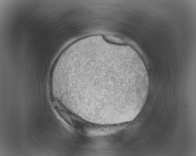 X0000081321048200702082131