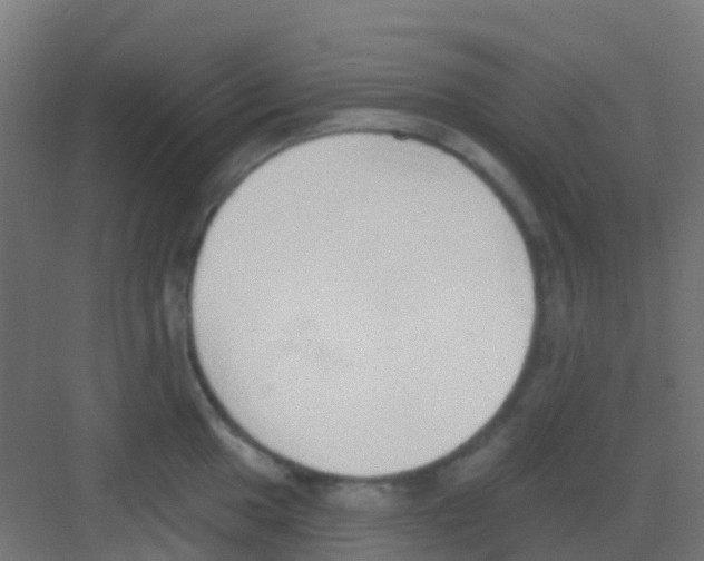 X0000081321049200702082131