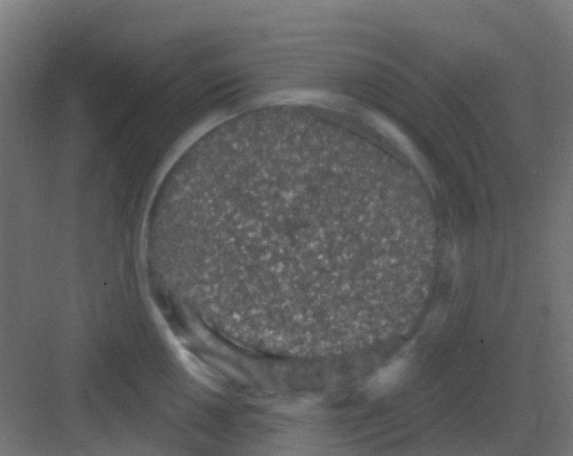 X0000081321050200702082131