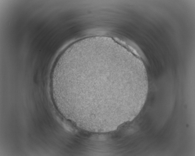 X0000081321051200702082131