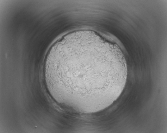 X0000081321052200702082131