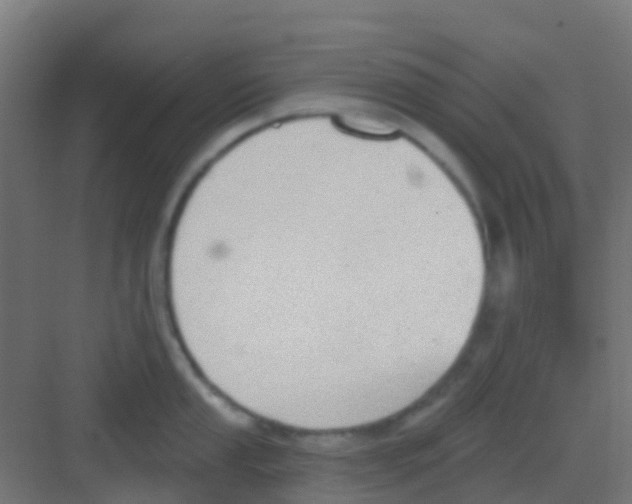 X0000081321053200702082131