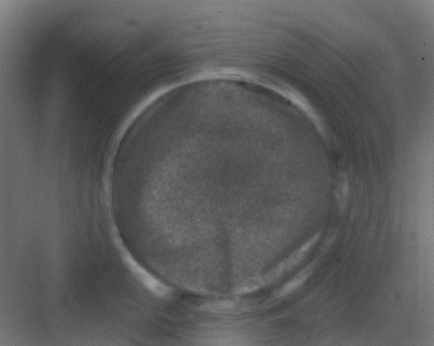 X0000081321054200702082131