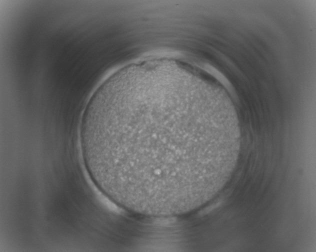 X0000081321055200702082131