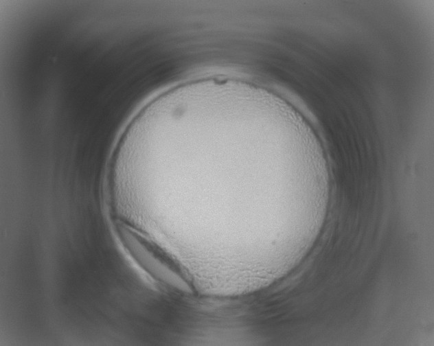 X0000081321056200702082131