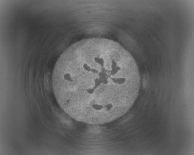 X0000081321059200702082130