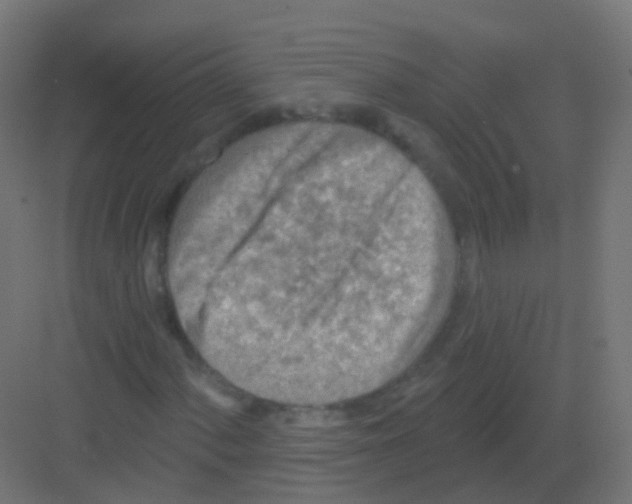 X0000081321060200702082130