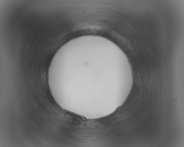 X0000081321061200702082130